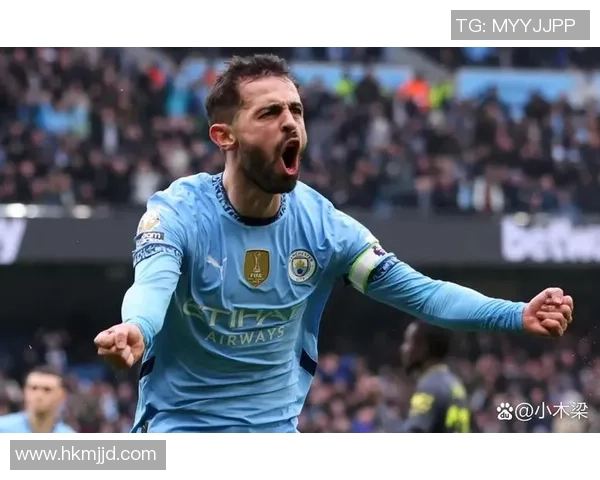 1718赛季曼城对阵埃弗顿精彩比赛录像回顾与分析 1718赛季曼城对阵埃弗顿精彩比赛录像回顾与分析