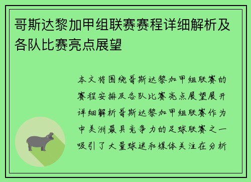 哥斯达黎加甲组联赛赛程详细解析及各队比赛亮点展望
